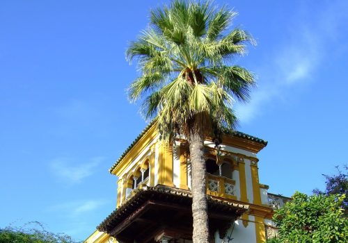 Barrio de Santa Cruz (Sevilla, Andalusie)