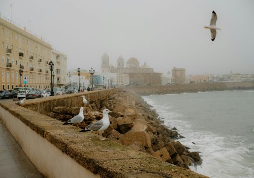 Santa Maria wijk in Cadiz